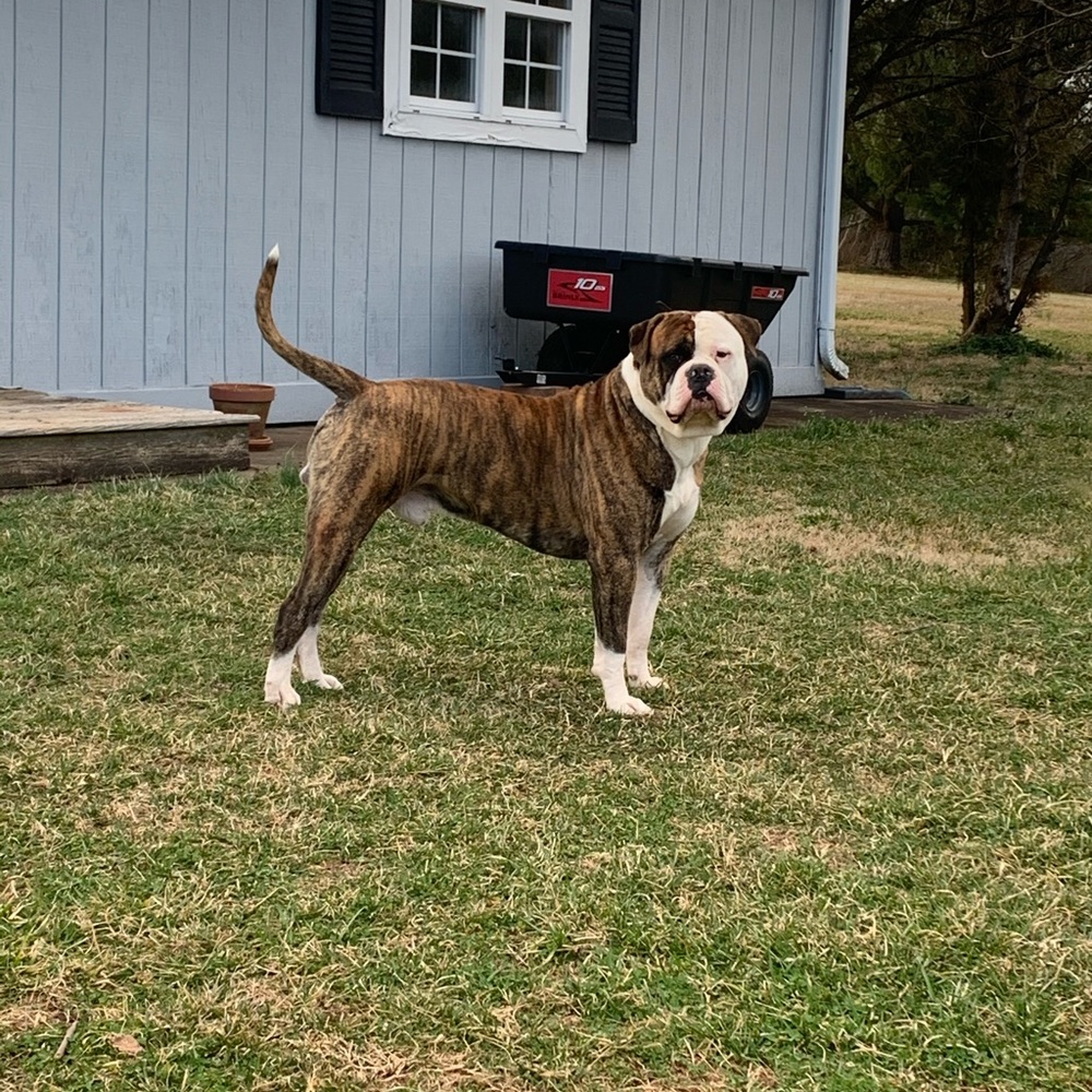 Meet your Posher, Ronda